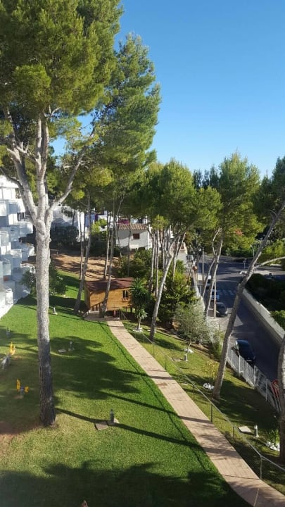 Ausblick vom Zimmer allsun Hotel Paguera Park