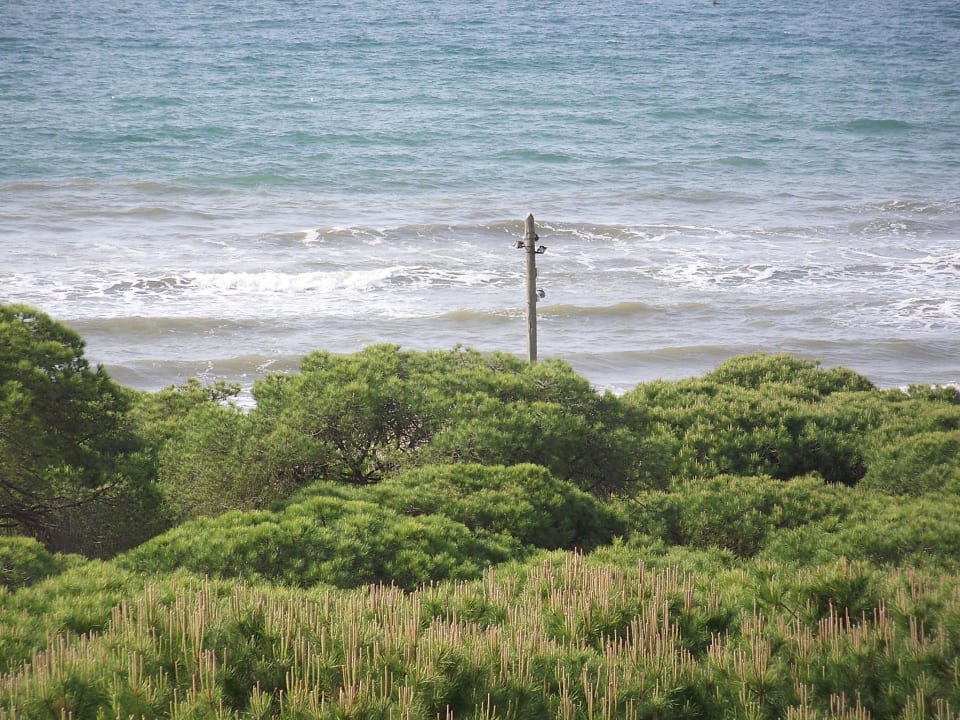 Blick vom Balkon TUI BLUE Isla Cristina Palace