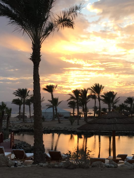 Sundowner ROBINSON SOMA BAY