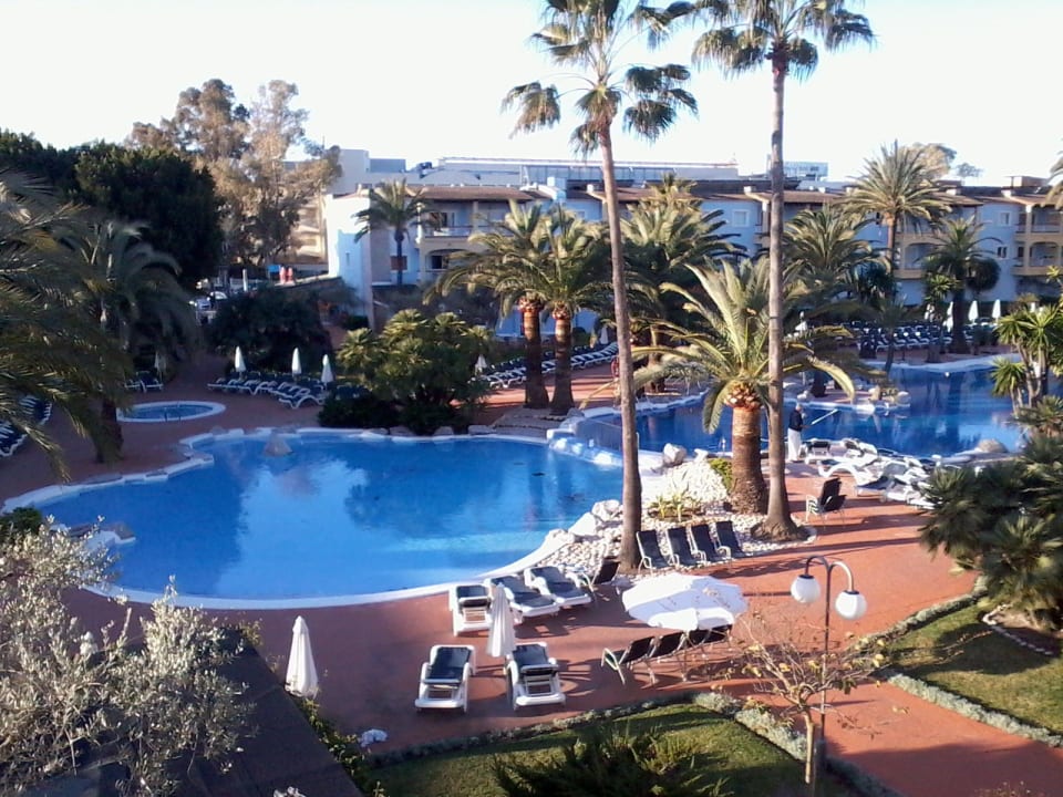 Nette Poolanlage Alcudia Garden Aparthotel