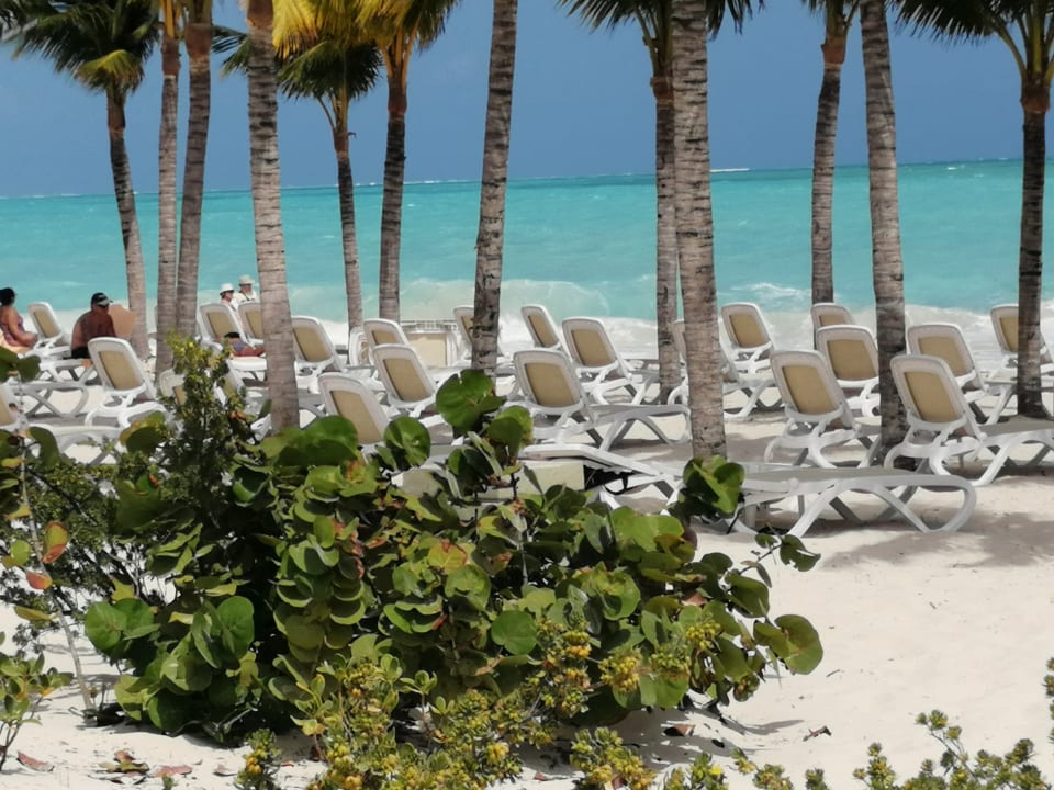 Strand Hotel Riu Dunamar