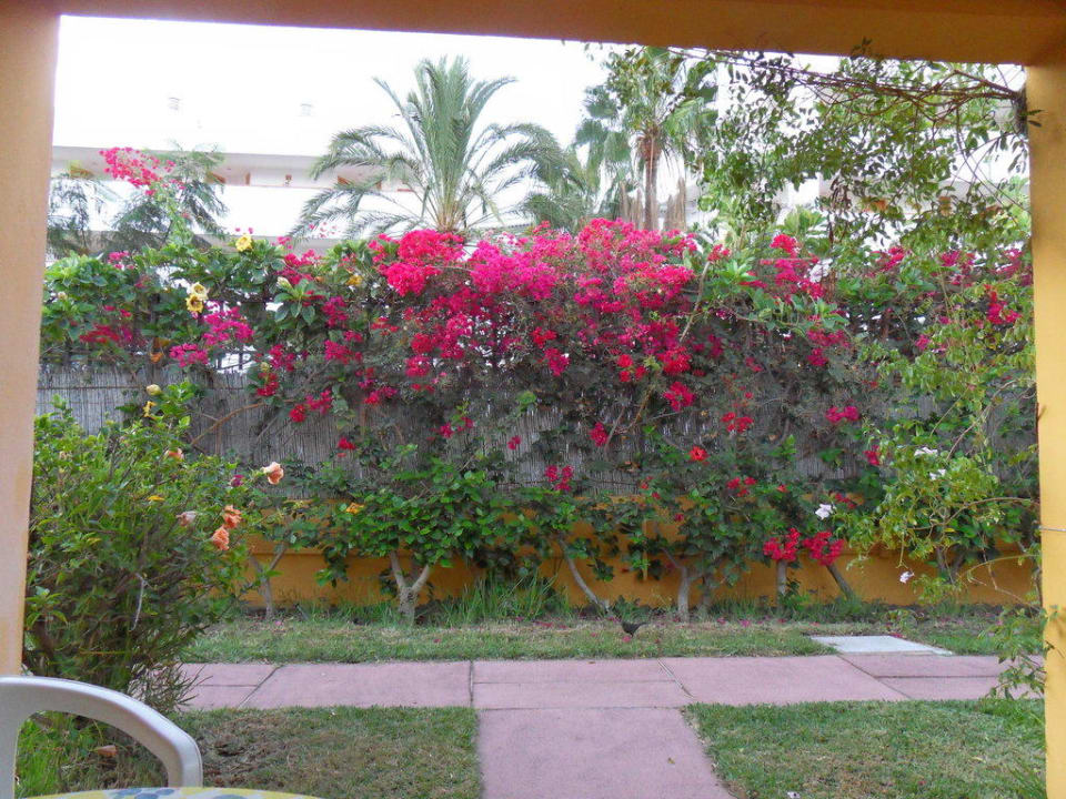 Bungalows Artemisa Artemisa Gay Bungalows