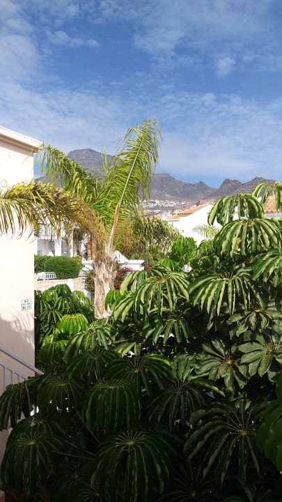 Gartenanlage LABRANDA Bahía y Villas Fañabé