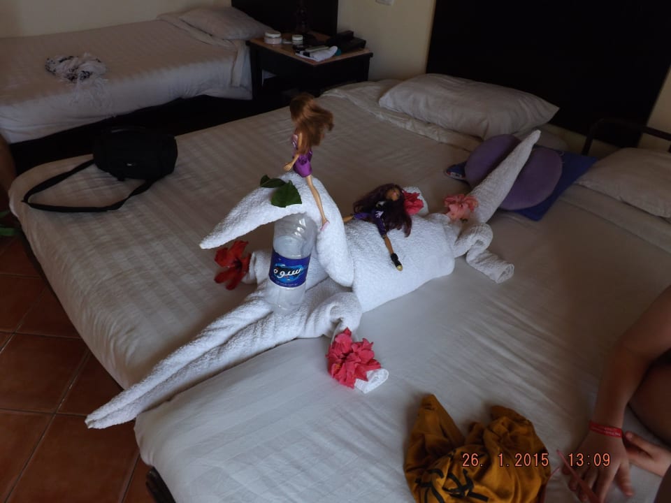 Krokodyl Three Corners Sea Beach Resort