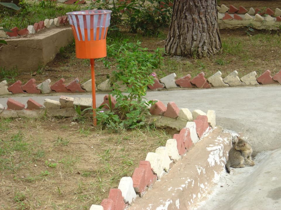 Weg in der Anlage Club Sidelya Hotel