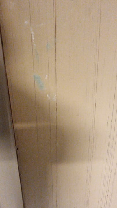 Zimmer blau punta reina