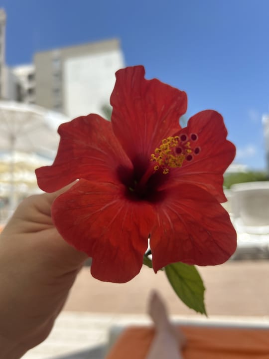 Gartenanlage J'adore Deluxe Hotel & Spa