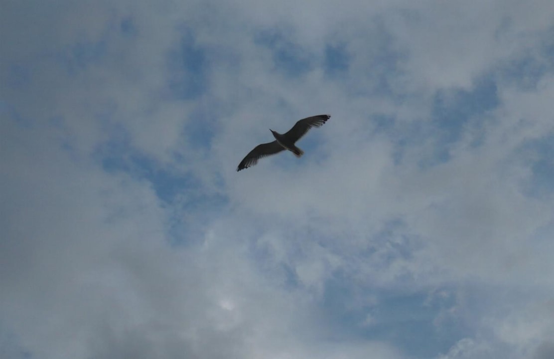 Blick nach oben vom Balkon HVD Viva Club Hotel