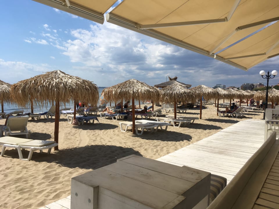 Strand Garden of Eden