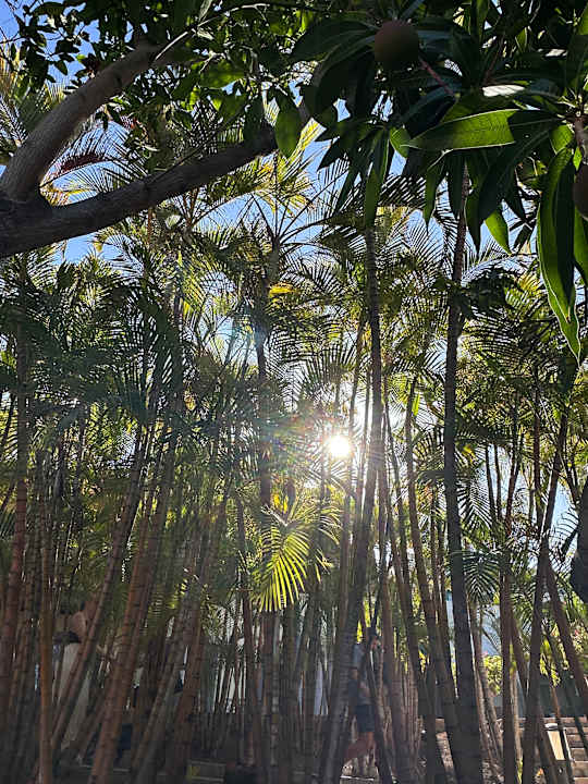 Strand Lopesan Villa del Conde Resort & Thalasso