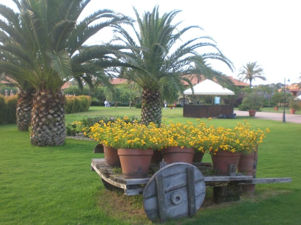 Gepflegter Garten Falkensteiner Club Funimation Garden Calabria