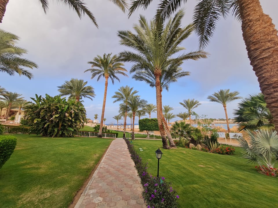 Gartenanlage Steigenberger Coraya Beach - Adults only