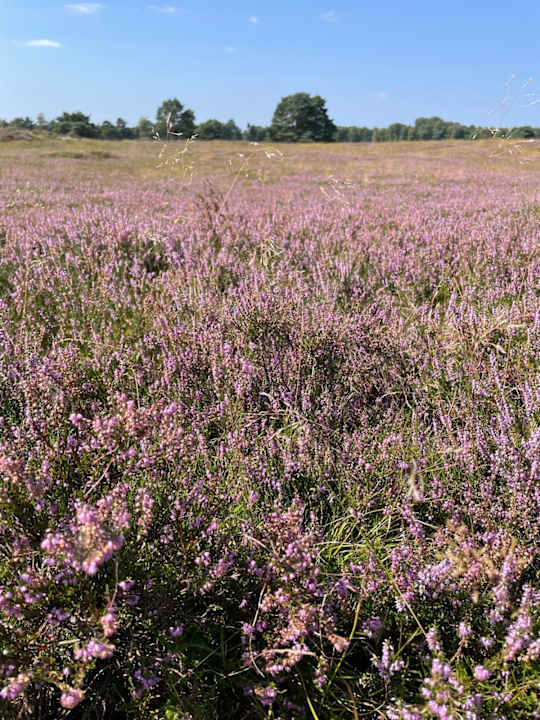Sport & Freizeit Pension Höpen Idyll