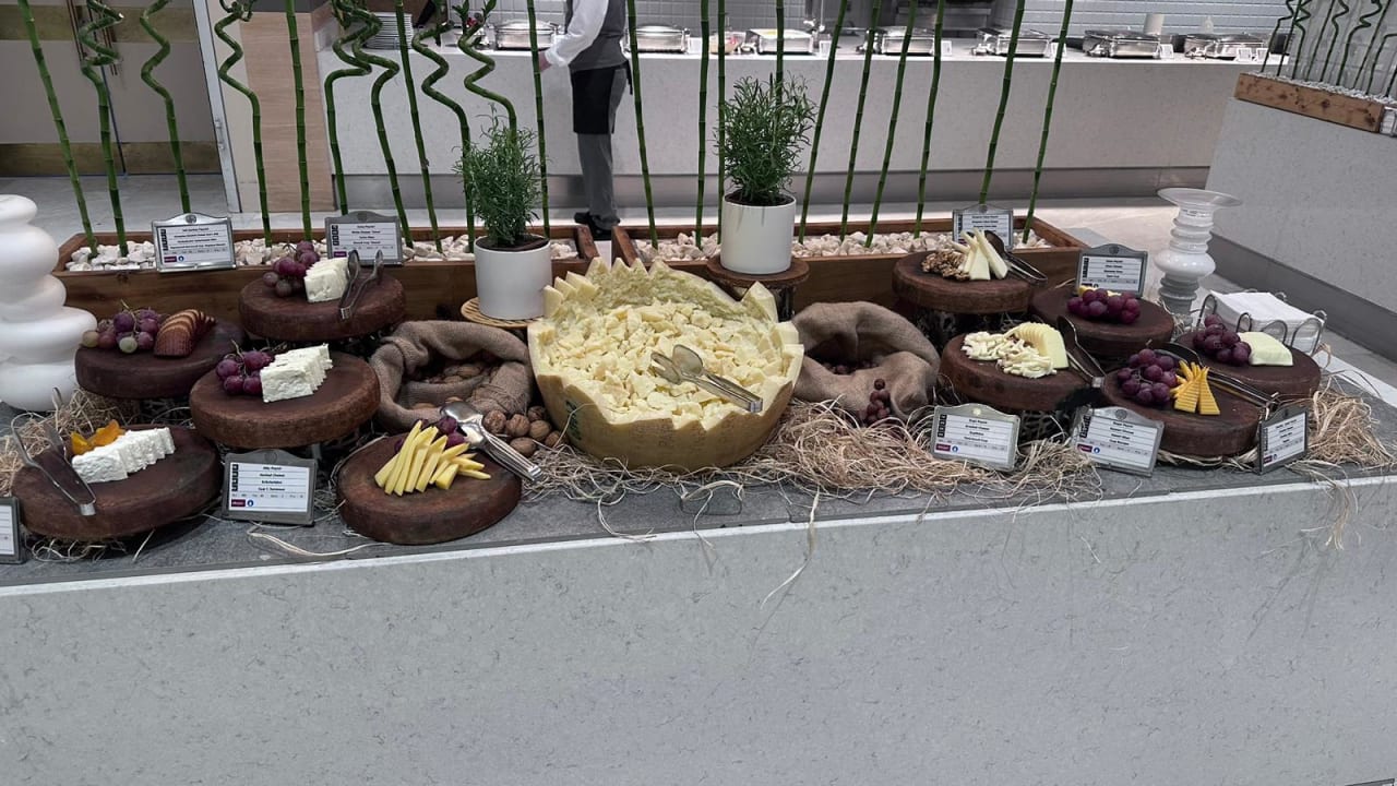 Gastro Acanthus Cennet Barut Collection