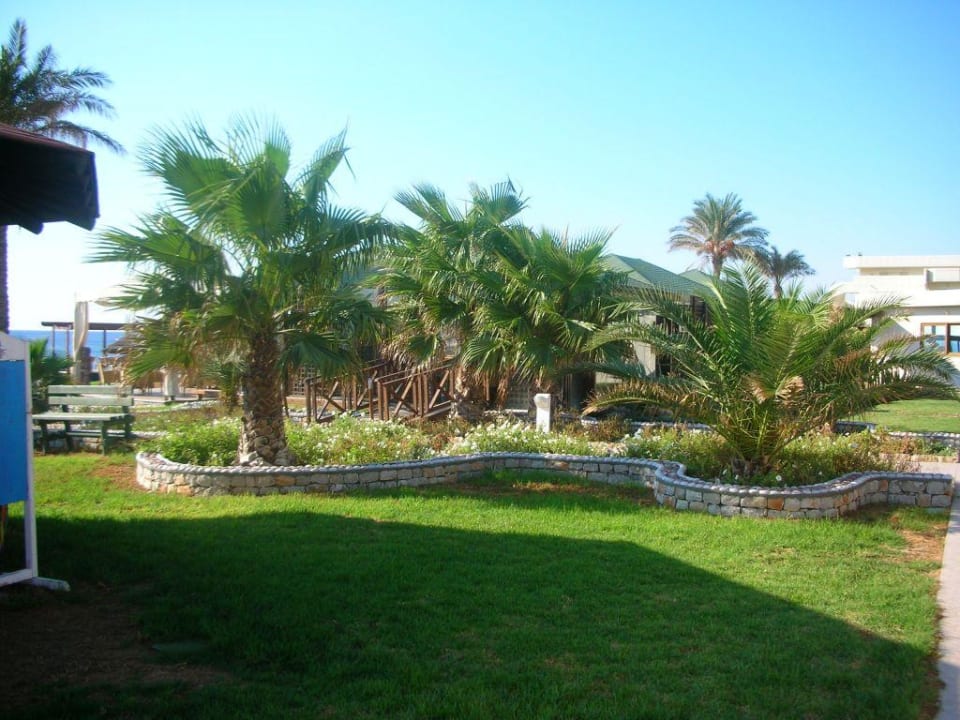 Gartenanlage des Hotels Rodos Palladium Leisure & Wellness