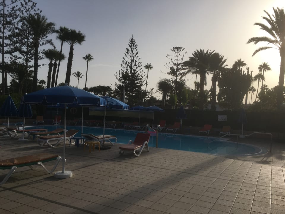 Pool Artemisa Gay Bungalows