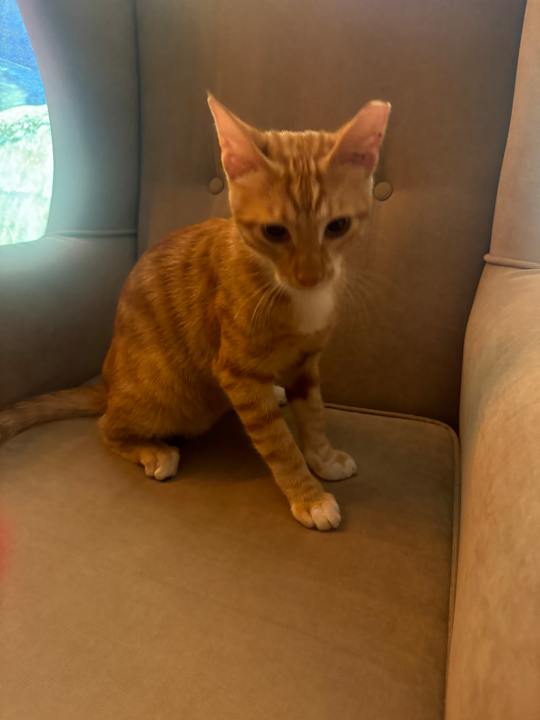 Sonstiges Mary Hotel Side