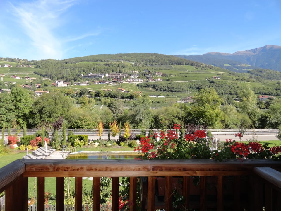 Ausblick Zum Alten Moar