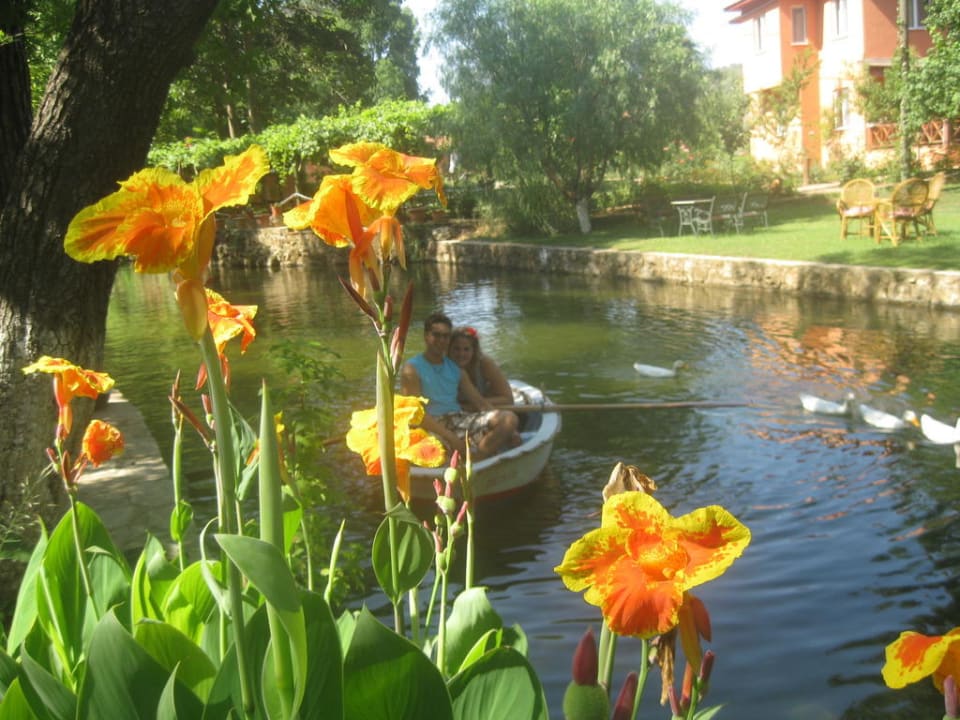 Luxus  Hotel Dalya Life