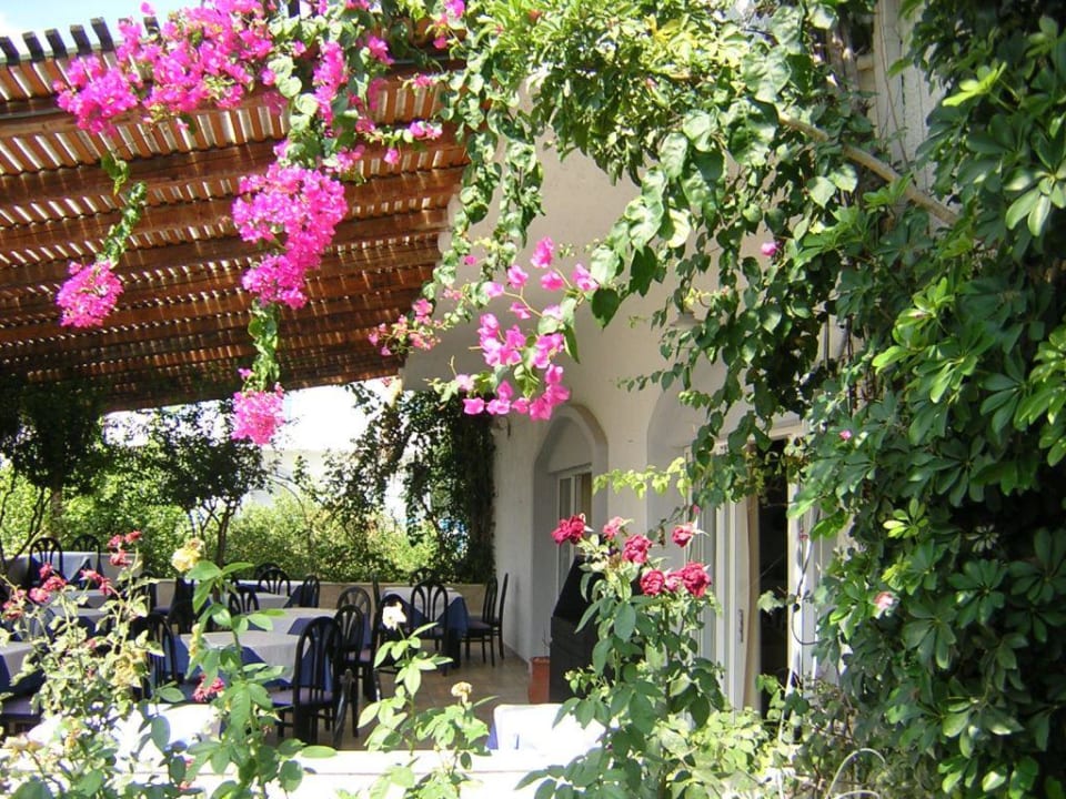 Terrasse Hotel Gorgona