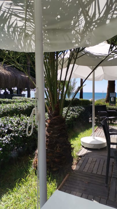 Gartenanlage Hotel Grand Side