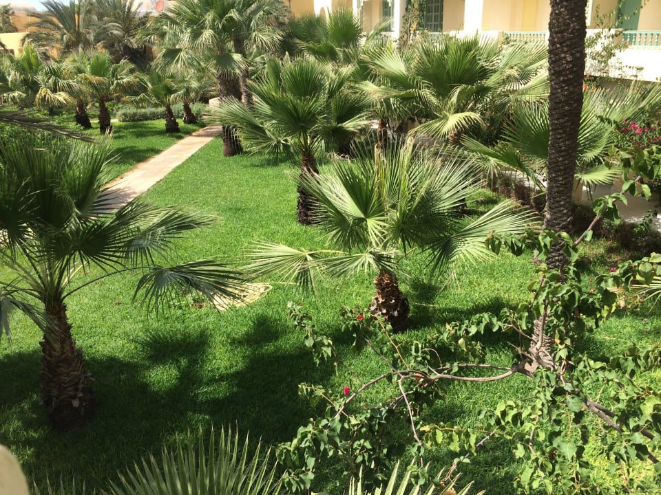 Palmen über Palmen  The Ksar Djerba Charming Hotel & SPA