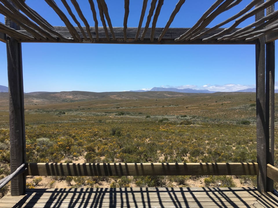 Sanbona Wildlife Reserve Sanbona Wildlife Reserve - Gondwana Lodge