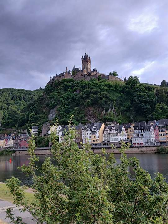 Ausblick Moselstern Hotel Brixiade & Triton