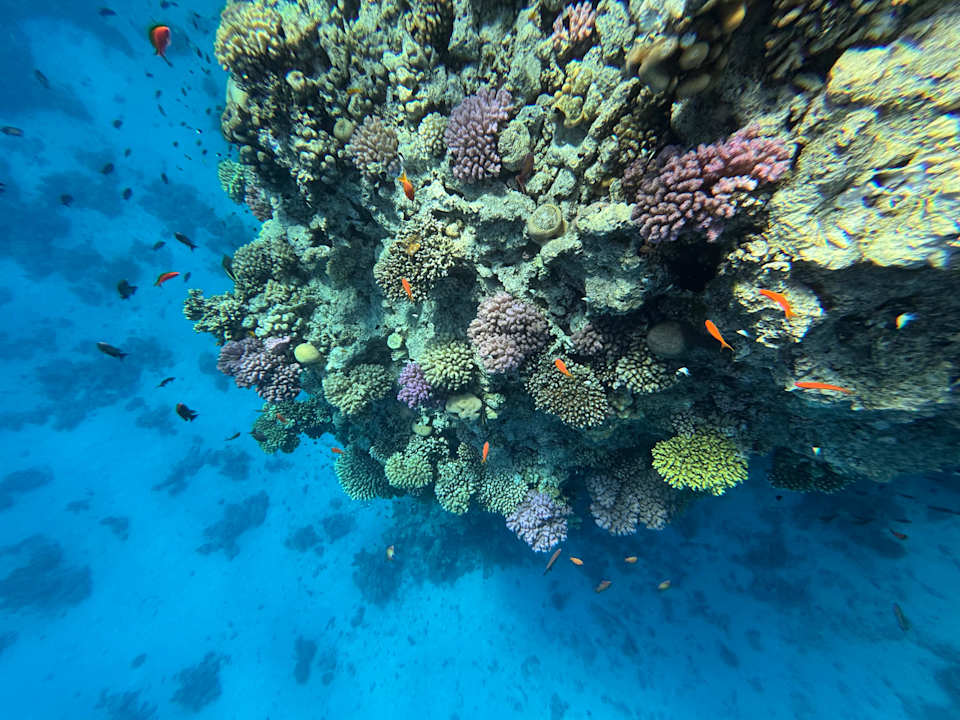 Sport & Freizeit Jaz Soma Beach