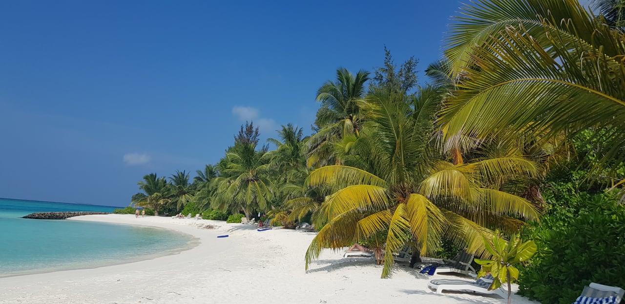 Strand Summer Island Maldives