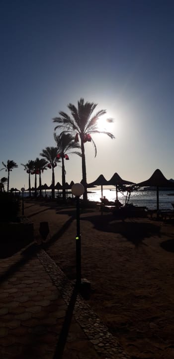 Strand Arabia Azur Resort