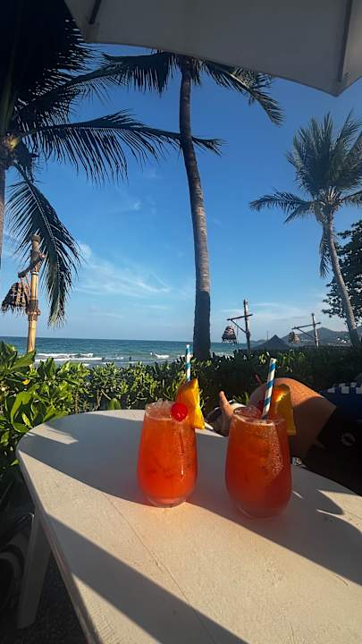 Gastro Synergy Samui