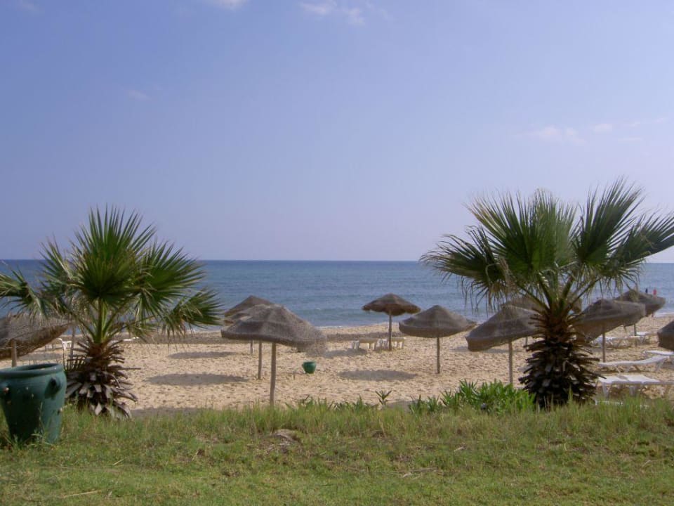 Strand  TUI BLUE Palm Beach Hammamet