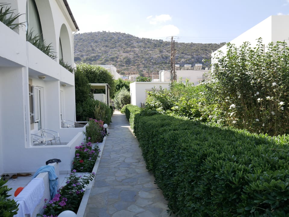 Außenansicht	 Hotel Ariadne Beach
