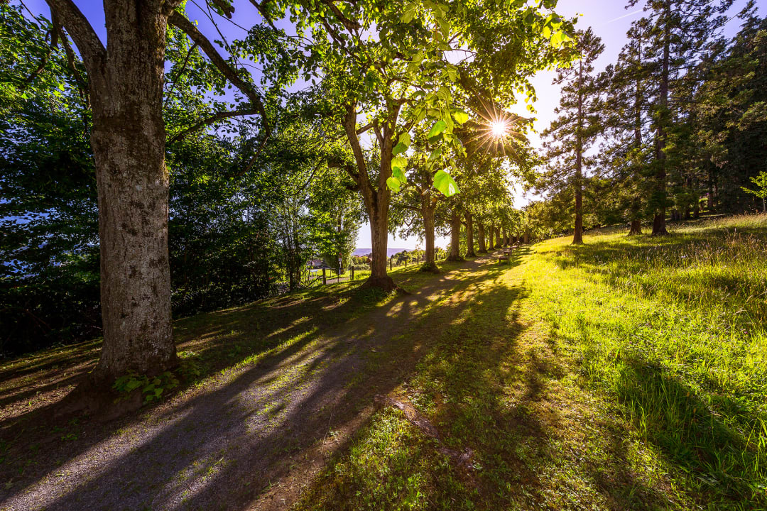 Gartenanlage Parkhotel St. Leonhard