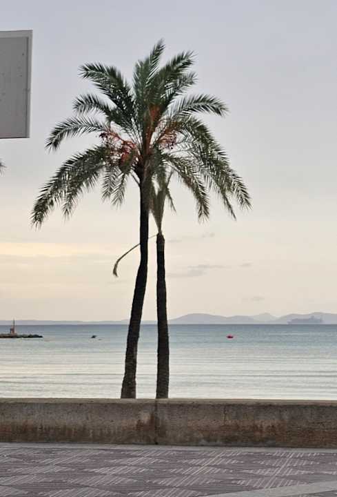 Strand Ahoi! Urban Beach Hotel