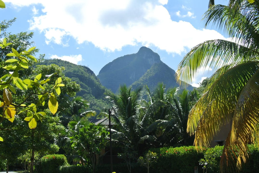 Aussicht vom Garten Constance Ephelia