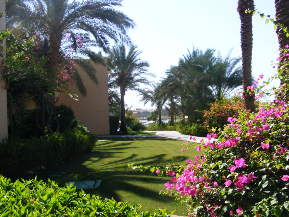 Schöne Gartenanlage Steigenberger Coraya Beach - Adults only