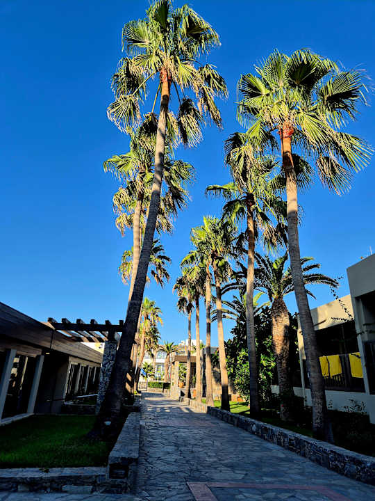 Außenansicht VONRESORT Golden Coast