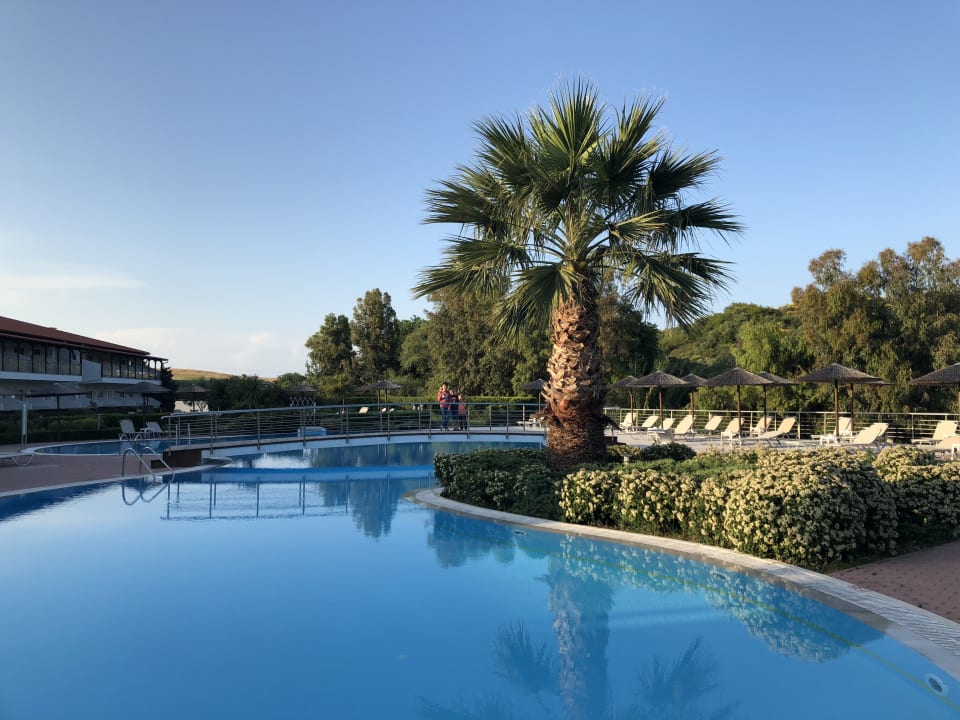 Pool Alexandros Palace