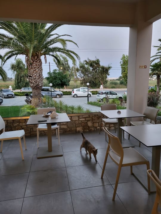 Gastro Hotel Esperia