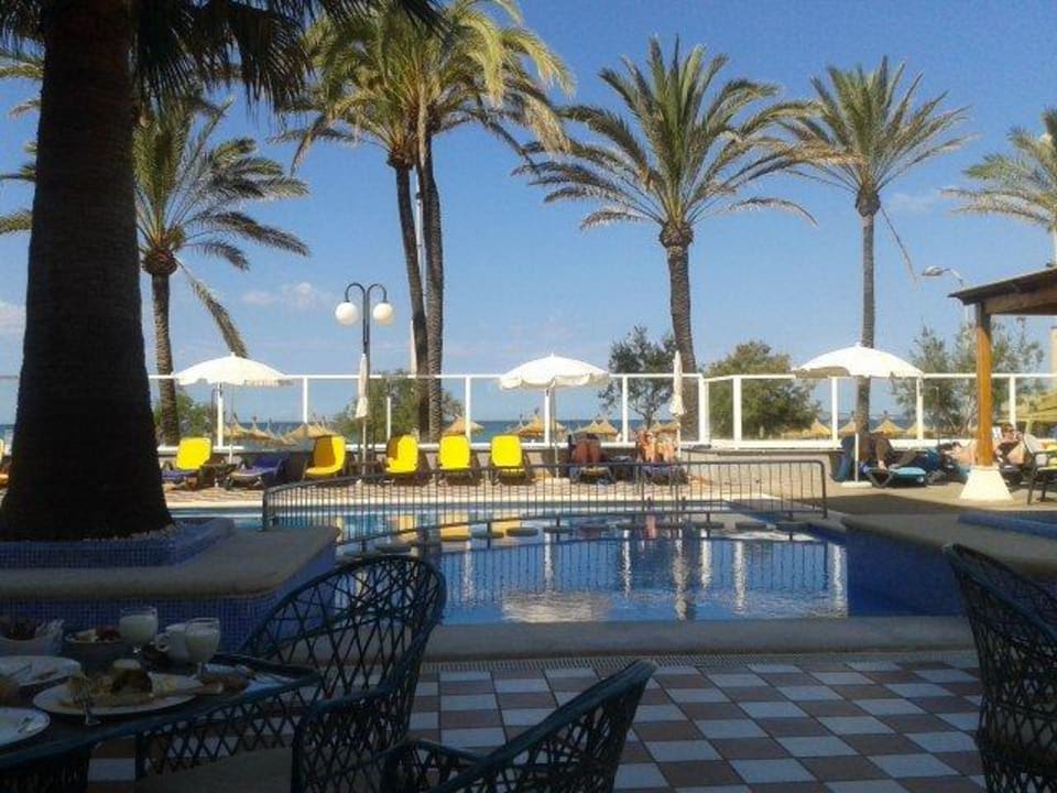 Ausblick auf Pool und Strand beim Frühstück Myseahouse Flamingo - Adults only