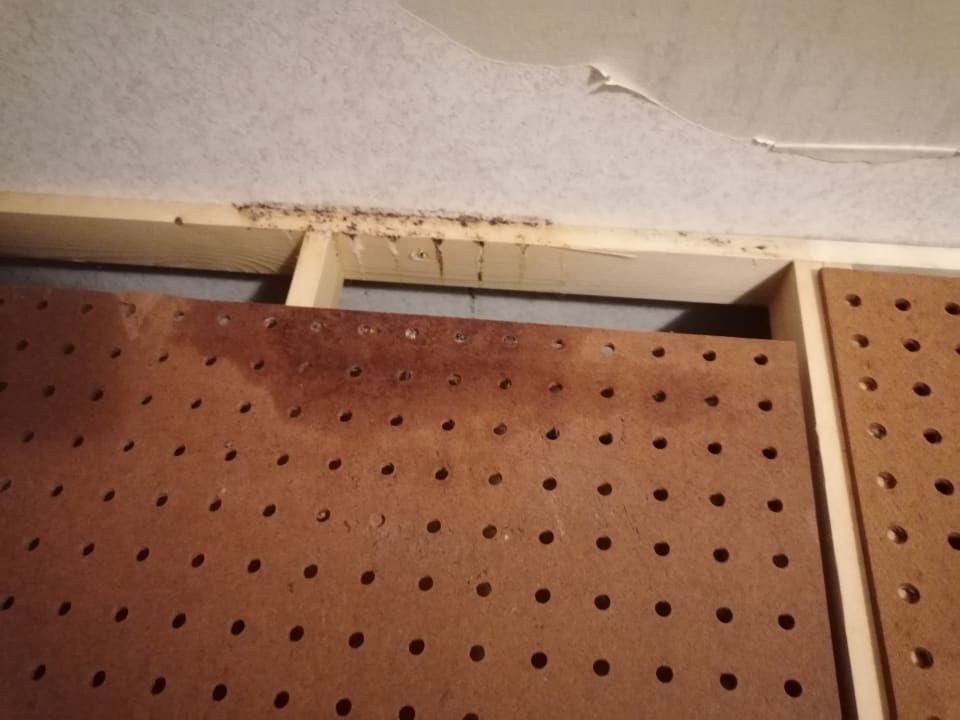 Zimmer Oostappen Vakantiepark Prinsenmeer