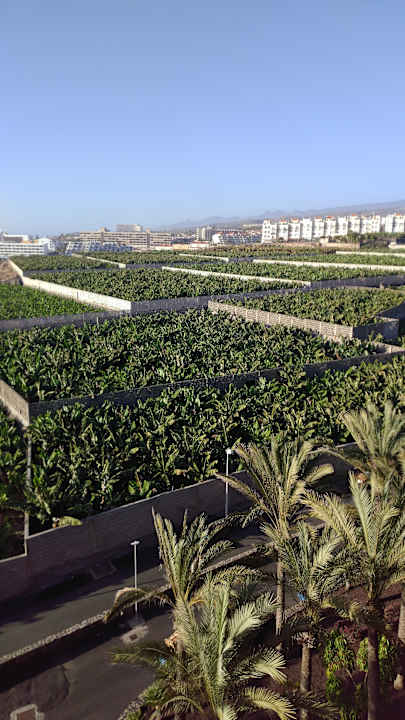 Ausblick Hotel Riu Buenavista