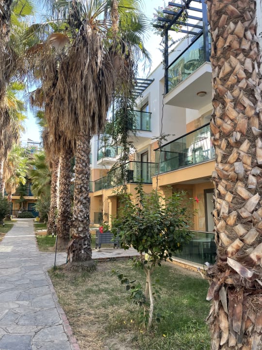 Außenansicht Jasmin Beach Hotel