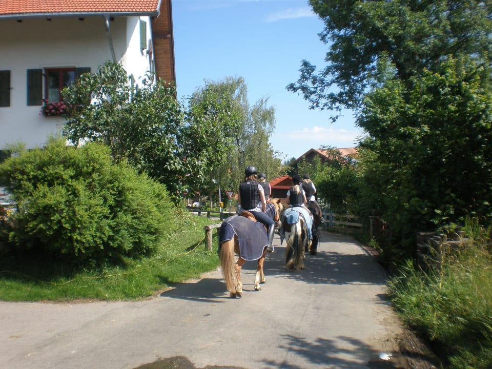 Der tägliche Ausritt Ferienhof Kastanienhof Eschach