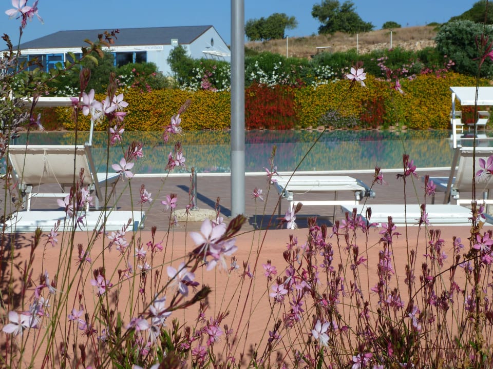 Pool VOI Marsa Siclà Essentia