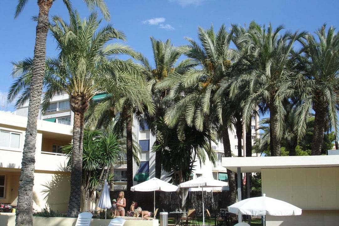 Blick von der Pool-Liege Port Hotel Alicante City & Beach