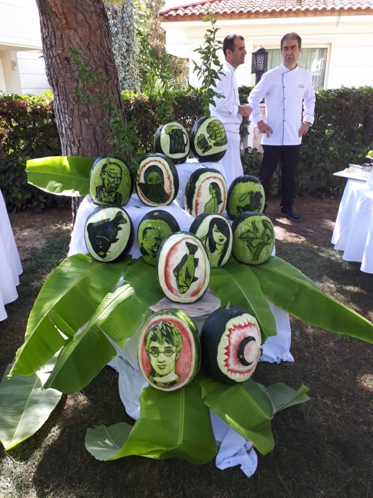Gastro Paloma Oceana