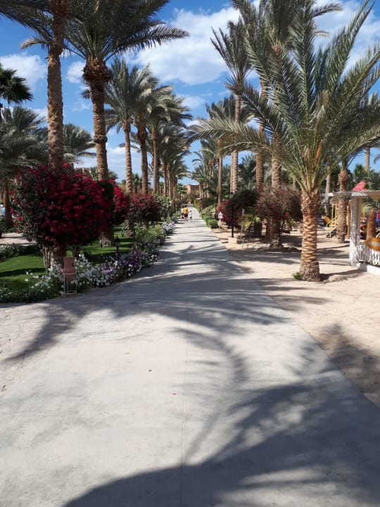 Gartenanlage Brayka Bay Resort